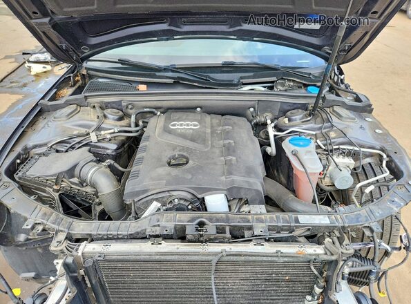 WAUFFAFL9GN018832 2016 AUDI A4 Черный Вид задней части салона