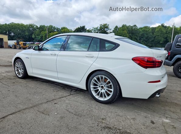 WBA5M4C51HD186898 2017 BMW 5 SERIES White Հետևի ձախ