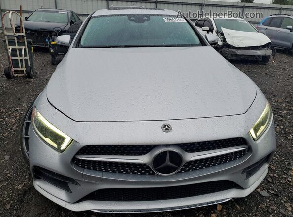 WDD2J5JB5KA034313 2019 MERCEDES-BENZ CLS-CLASS Silver Vista frontal