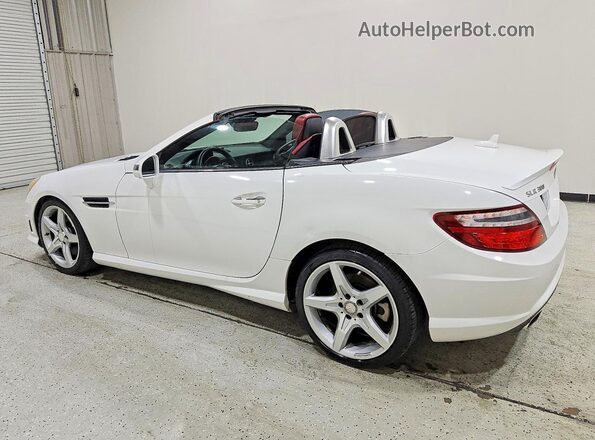 WDDPK3JA3GF117487 2016 MERCEDES-BENZ SLK White Tył lewy