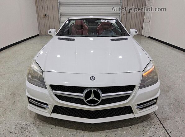 WDDPK3JA3GF117487 2016 MERCEDES-BENZ SLK White Widok z przodu