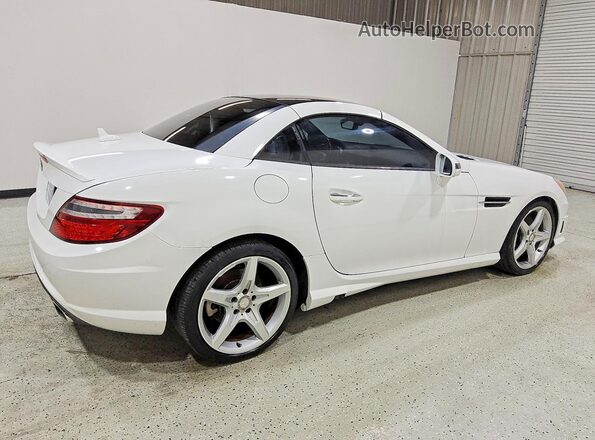 WDDPK3JA3GF117487 2016 MERCEDES-BENZ SLK White Tył prawy