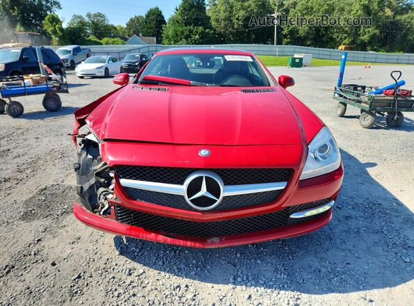 WDDPK3JA7GF115564 2016 MERCEDES-BENZ SLK Red Front view