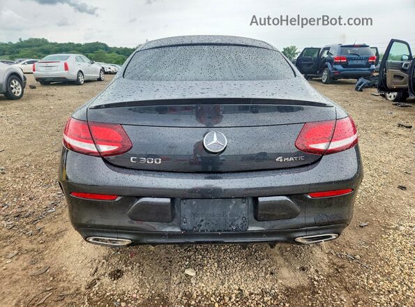 WDDWJ8EB5LF935568 2020 MERCEDES-BENZ C Угольный Вид сзади