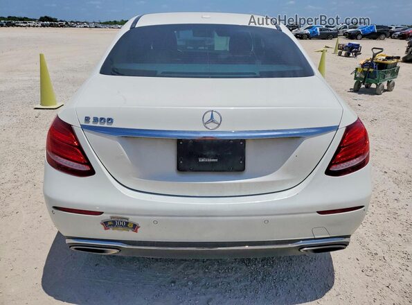 WDDZF4JB8HA169398 2017 MERCEDES-BENZ E Белый Вид сзади