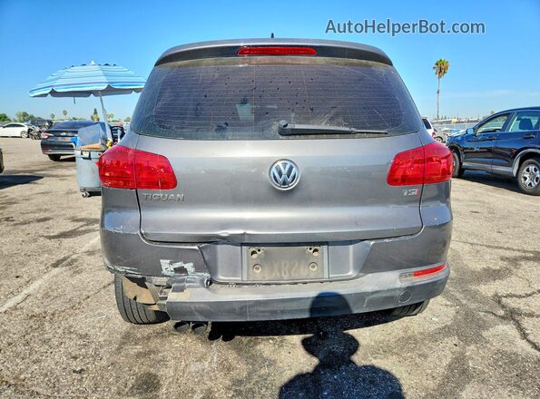 WVGAV7AX1HK039220 2017 VOLKSWAGEN TIGUAN Gray Widok z tyłu