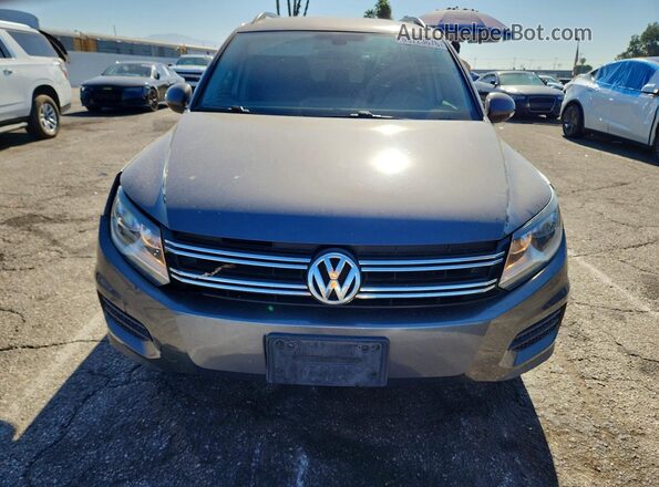 WVGAV7AX1HK039220 2017 VOLKSWAGEN TIGUAN Gray Widok z przodu