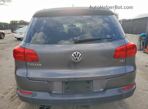 WVGAV7AX7GW559266 2016 VOLKSWAGEN TIGUAN Gray Հետևի տեսք