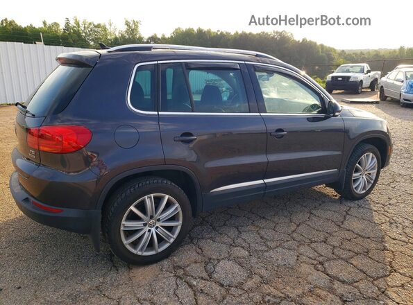 WVGBV7AX6GW588925 2016 VOLKSWAGEN TIGUAN Gray Հետևի աջ