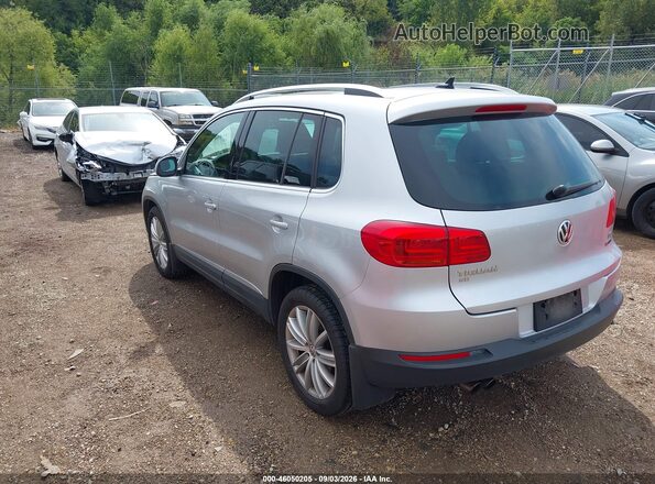 WVGBV7AX9GW554073 2016 VOLKSWAGEN TIGUAN Silver უკანა მარცხენა