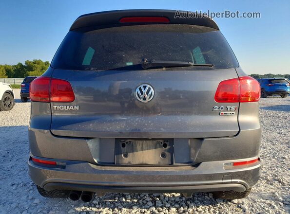 WVGJV7AX3GW607961 2016 VOLKSWAGEN TIGUAN Blue უკანა ხედი