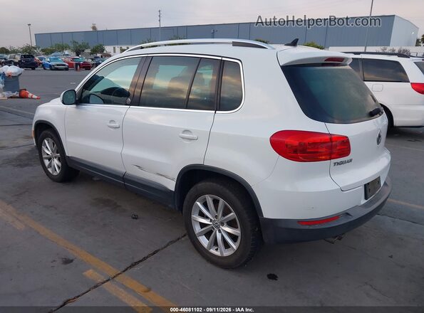 WVGRV7AX9HW503656 2017 VOLKSWAGEN TIGUAN White Հետևի ձախ