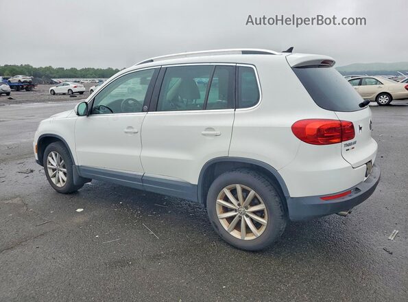 WVGSV7AX5HK022442 2017 VOLKSWAGEN TIGUAN Белый Задняя левая четверть