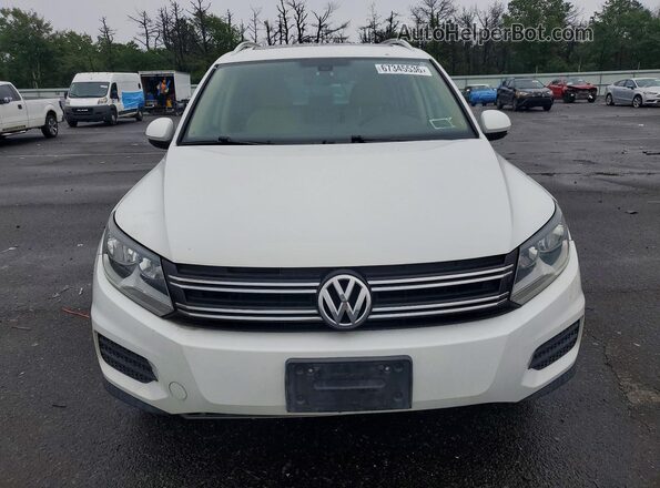 WVGSV7AX5HK022442 2017 VOLKSWAGEN TIGUAN Белый Вид спереди