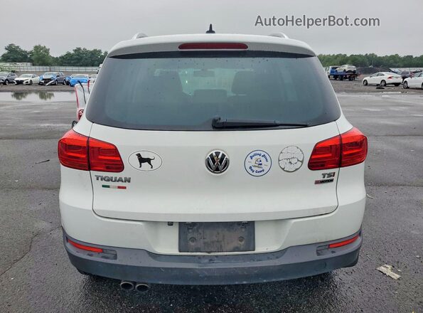 WVGSV7AX5HK022442 2017 VOLKSWAGEN TIGUAN Белый Вид сзади