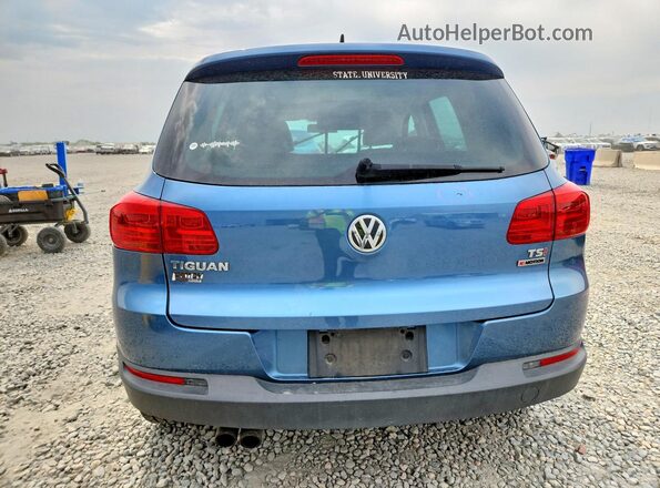 WVGSV7AX9HW501438 2017 VOLKSWAGEN TIGUAN Blue Հետևի տեսք