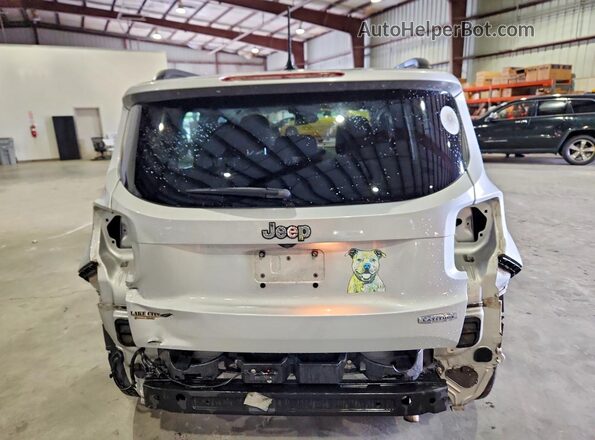 ZACCJABB9HPF06205 2017 JEEP RENEGADE Silver Widok z tyłu