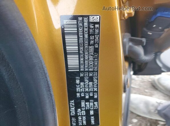 ZACNDFBN9P3A06686 2023 DODGE OTHER Gold VIN կոդի պիտակի տեսք