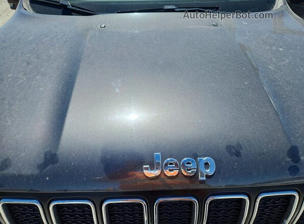 ZACNJBAB8KPJ81387 2019 JEEP RENEGADE Gray Vista interior trasera