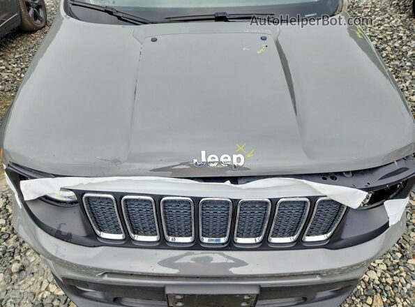 ZACNJDBB9MPM24511 2021 JEEP RENEGADE Gray Vista del compartimento del motor