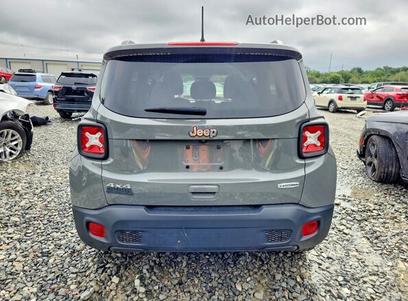 ZACNJDBB9MPM24511 2021 JEEP RENEGADE Gray Vista trasera