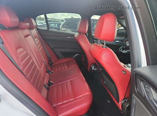 ZASPAJAN0N7D31534 2022 ALFA ROMEO STELVIO White Շարժիչի բաժամունքի տեսք