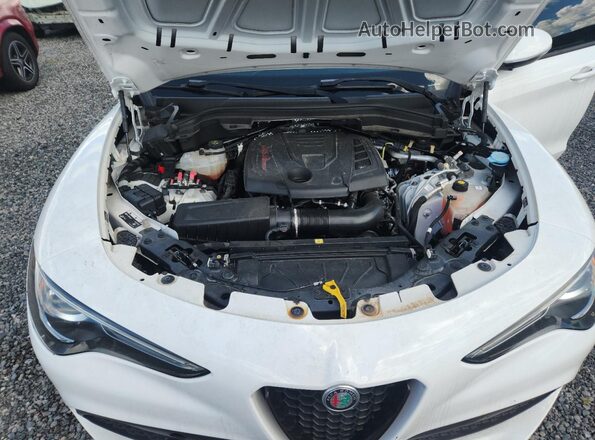 ZASPAJAN0N7D31534 2022 ALFA ROMEO STELVIO White VIN կոդի պիտակի տեսք