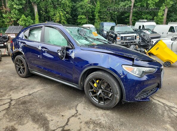 ZASPAKAN1L7C91564 2020 ALFA ROMEO STELVIO Blue Передня права чверть