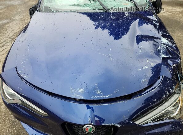 ZASPAKAN1L7C91564 2020 ALFA ROMEO STELVIO Blue Вид підкапотного простору