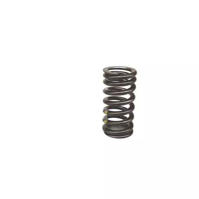 Valve Springs 06E-109-623-AB - View 6