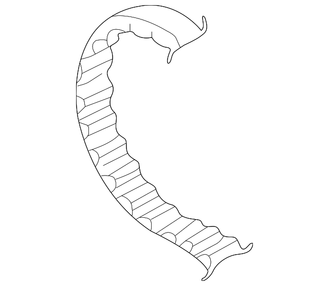 Timing Belt 06B-109-119-F - View 4