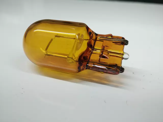 Bulb N-107-244-01 - View 15