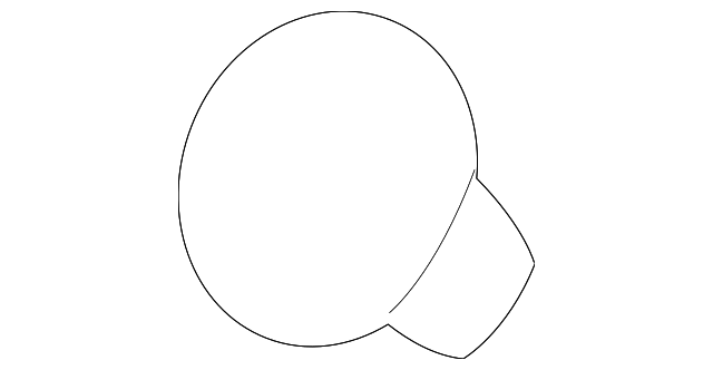 Wiper Arm Cap 5N0-955-205-9B9 - View 60