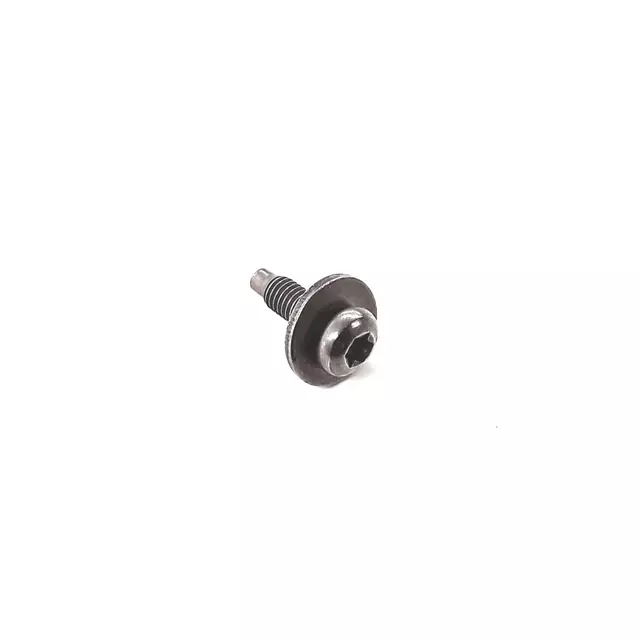 Trim Molding Screw N-907-290-02
