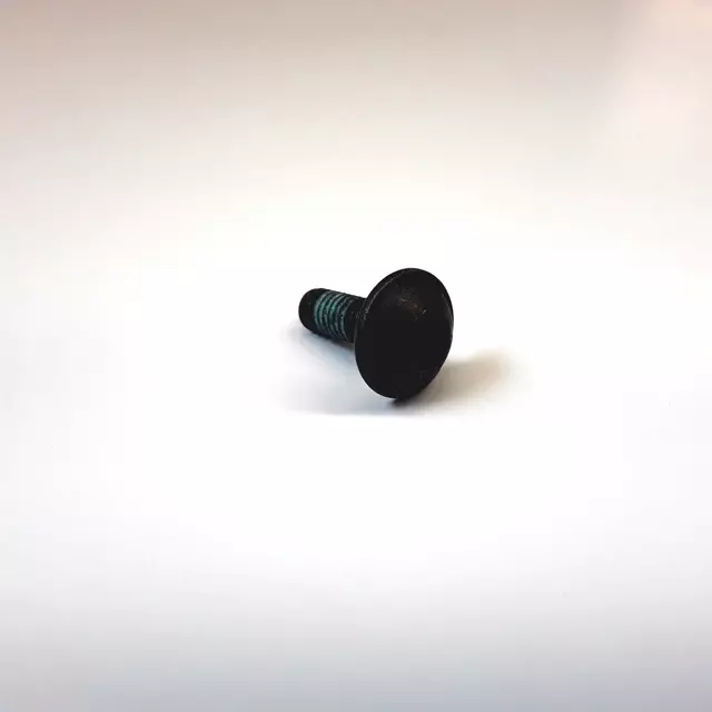 Mirror Assembly Screw N-911-951-01