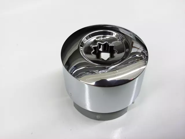 Wheel Bolt Cap 7L6-601-173-A-2ZZ - View 19