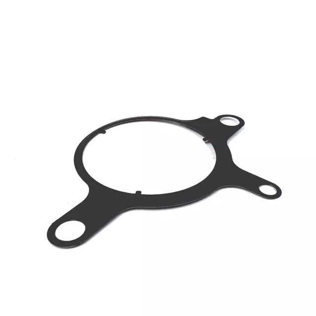 Fuel Pump Gasket 07Z-145-215 - View 4