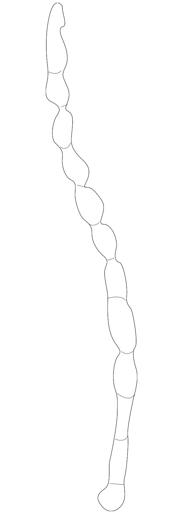 Drain Hose 893-809-937 - View 12