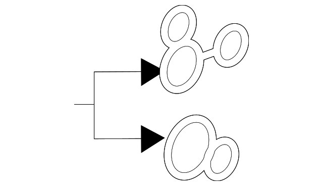Oil Filter Housing Gasket 07K-115-441 - View 12