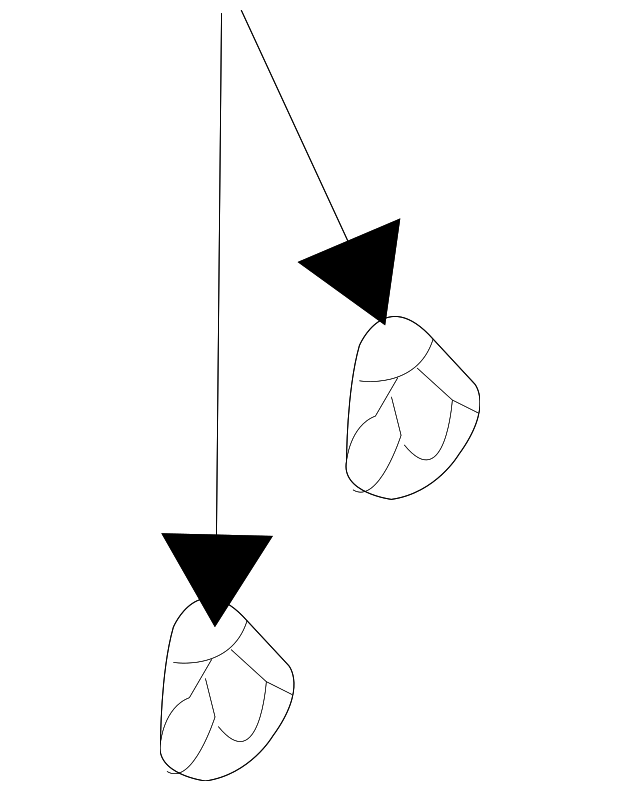 Clamp N-102-019-01 - View 13
