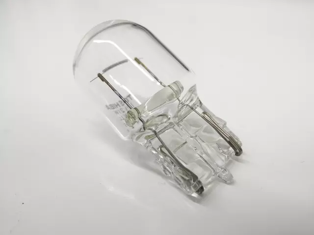 Bulb N-107-244-02 - View 15