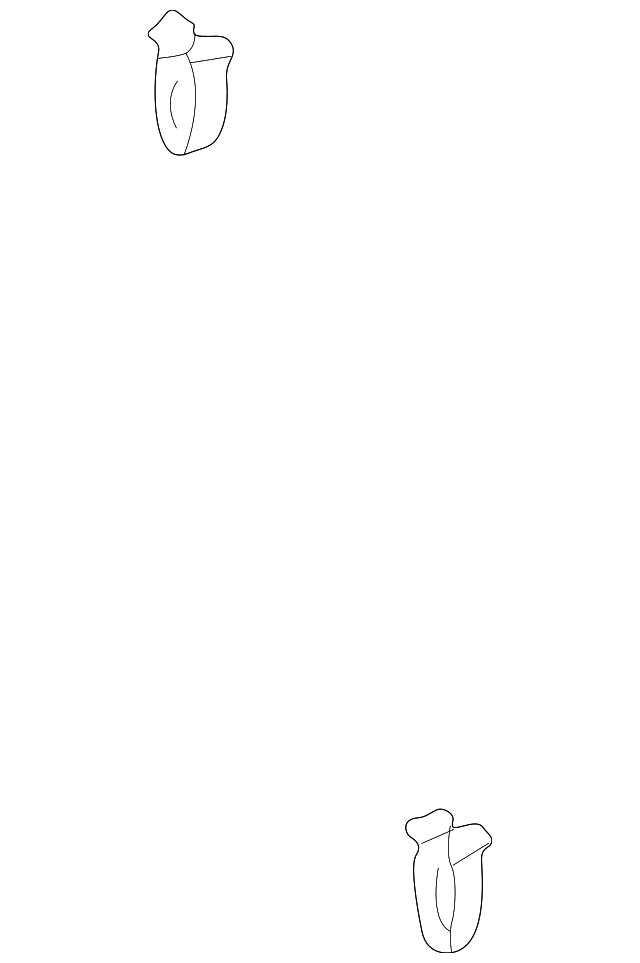 Cowl Trim Clip 1J0-867-276-B - View 2