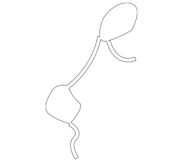 Cap Retainer 3B0-807-947