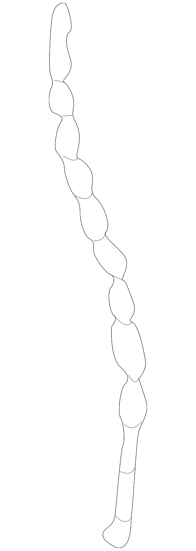 Drain Hose 893-809-937 - View 15