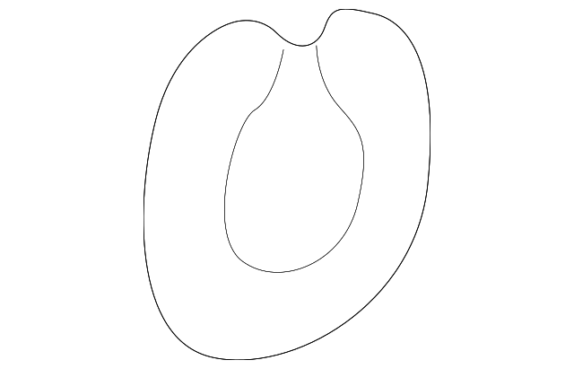 Drive Shaft Snap Ring 171-407-297-C