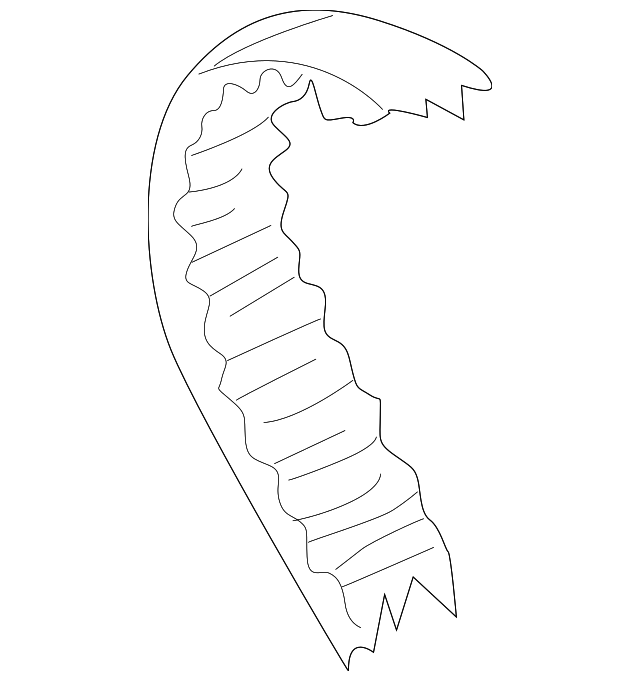 Timing Belt 074-109-119-F