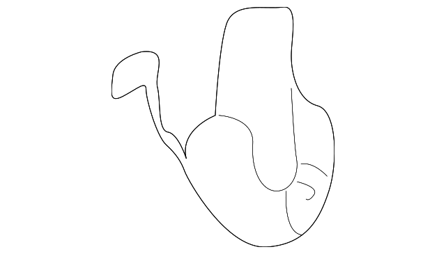 Exhaust Muffler Bracket 1J0-253-144-Q - View 34