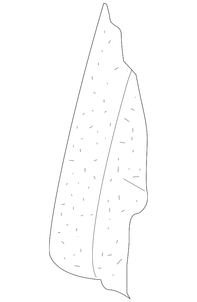 Seat Back Pad 3C0-885-776-B - View 5