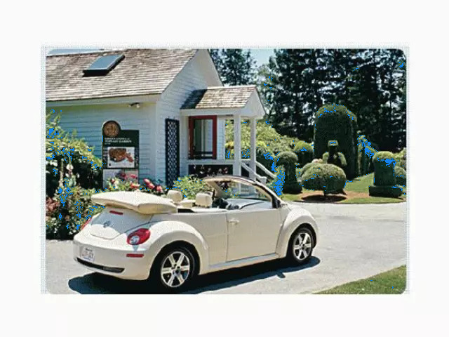 Convertible Stowage Cover 1Y0-871-041-D-A64 - View 7