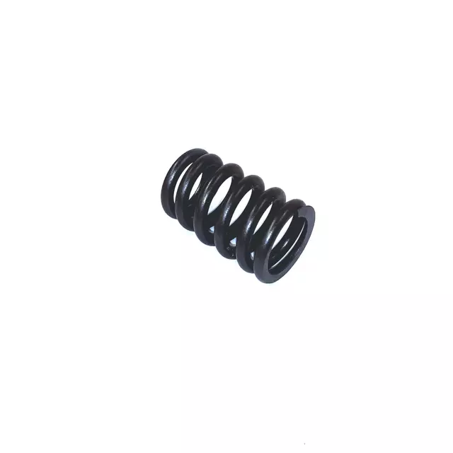 Intake Valve Spring 7B0-109-623 - View 2